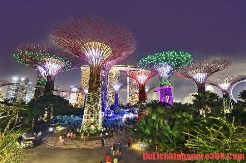 Ngắm siêu cây hoạt động bạn nên trải nghiệm khi đến Singapore - Vui chơi, giải trí - Làm gì khi du lịch Singapore về đêm